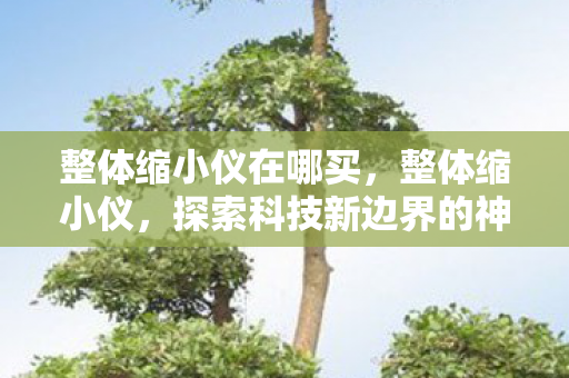 整体缩小仪在哪买，整体缩小仪，探索科技新边界的神奇工具