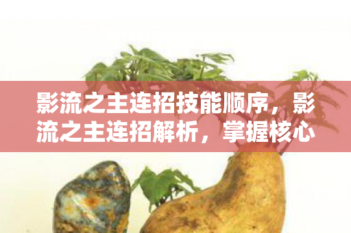 影流之主连招技能顺序，影流之主连招解析，掌握核心技巧，提升实战效率