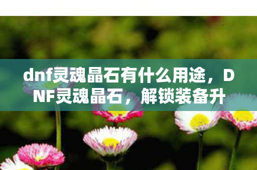 dnf灵魂晶石有什么用途，DNF灵魂晶石，解锁装备升级与战斗力的神秘钥匙