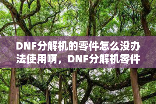 DNF分解机的零件怎么没办法使用啊，DNF分解机零件，揭秘高效装备分解的秘密