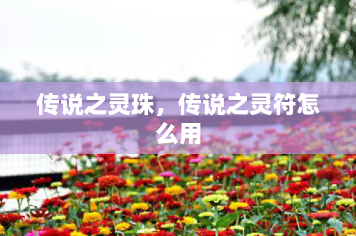传说之灵珠，传说之灵符怎么用