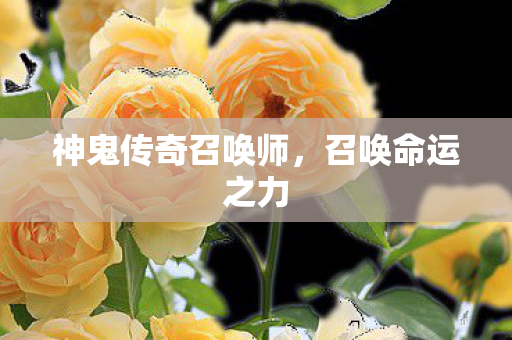 神鬼传奇召唤师,召唤命运之力 神鬼传奇召唤师,召唤命运之力