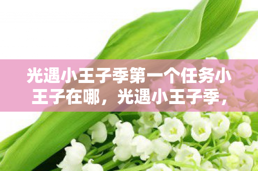 光遇小王子季第一个任务小王子在哪，光遇小王子季，启程之旅的奥秘