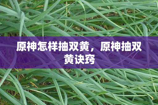 原神怎样抽双黄图片