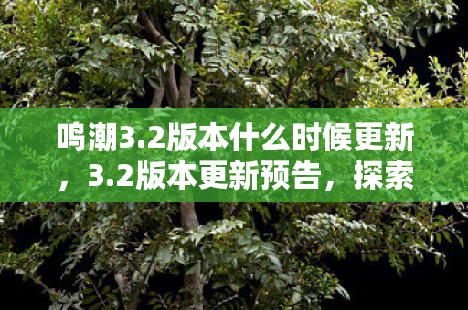 鸣潮3.2版本什么时候更新,3.2版本更新预告,探索未来游戏体验的无限可能 鸣潮3.2版本什么时候更新,3.2版本更新预告,探索未来游戏体验的无限可能