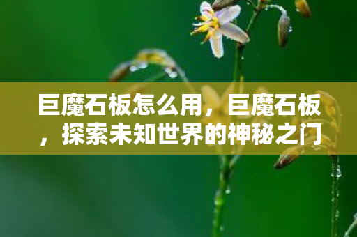 巨魔石板怎么用，巨魔石板，探索未知世界的神秘之门