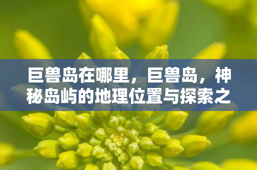 巨兽岛在哪里，巨兽岛，神秘岛屿的地理位置与探索之旅