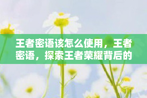 王者密语该怎么使用，王者密语，探索王者荣耀背后的故事与细节