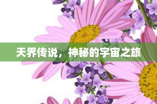 天界传说，神秘的宇宙之旅