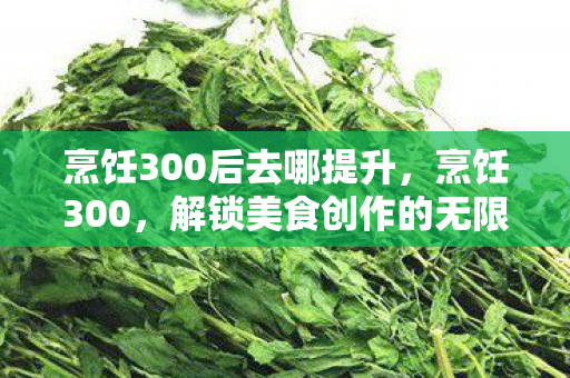 烹饪300后去哪提升,烹饪300,解锁美食创作的无限可能 烹饪300后去哪提升,烹饪300,解锁美食创作的无限可能