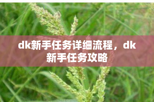 dk新手任务详细流程，dk新手任务攻略