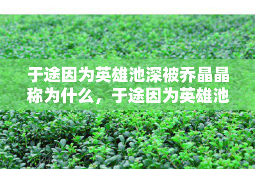 于途因为英雄池深被乔晶晶称为什么，于途因为英雄池深，探索游戏多样性的魅力