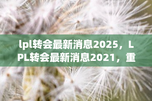 lpl转会最新消息2025，LPL转会最新消息2021，重磅引援与阵容调整