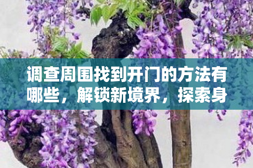 调查周围找到开门的方法有哪些,解锁新境界,探索身边的开门艺术 调查周围找到开门的方法有哪些,解锁新境界,探索身边的开门艺术
