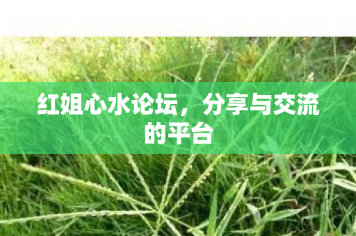 红姐心水论坛,分享与交流的平台 红姐心水论坛,分享与交流的平台