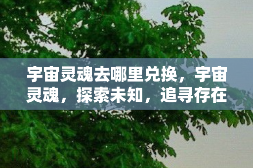 宇宙灵魂去哪里兑换图片