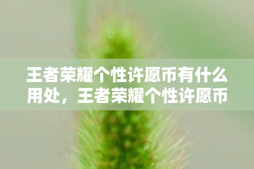 王者荣耀个性许愿币有什么用处图片