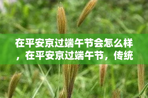 在平安京过端午节会怎么样，在平安京过端午节，传统与创新的交融