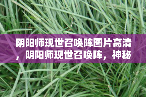 阴阳师现世召唤阵图片高清,阴阳师现世召唤阵,神秘与魔力的交汇点 阴阳师现世召唤阵图片高清,阴阳师现世召唤阵,神秘与魔力的交汇点