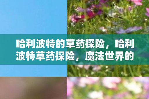 哈利波特的草药探险,哈利波特草药探险,魔法世界的自然奥秘 哈利波特的草药探险,哈利波特草药探险,魔法世界的自然奥秘