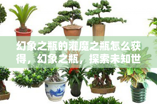 幻象之瓶的灌魔之瓶怎么获得，幻象之瓶，探索未知世界的神秘钥匙