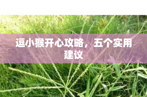逗小猴开心攻略,五个实用建议 逗小猴开心攻略,五个实用建议