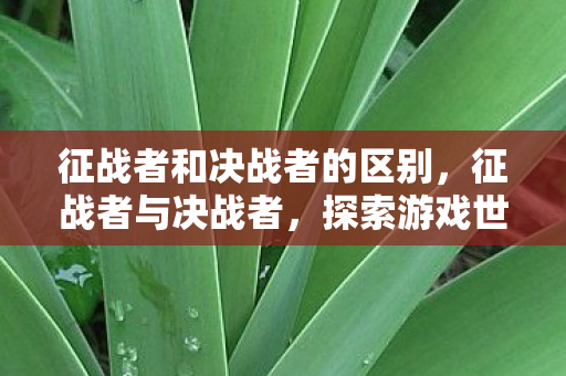 征战者和决战者的区别,征战者与决战者,探索游戏世界的无限可能 征战者和决战者的区别,征战者与决战者,探索游戏世界的无限可能