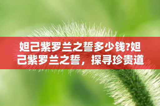 妲己紫罗兰之誓多少钱?妲己紫罗兰之誓,探寻珍贵道具的珍贵价值 妲己紫罗兰之誓多少钱?妲己紫罗兰之誓,探寻珍贵道具的珍贵价值