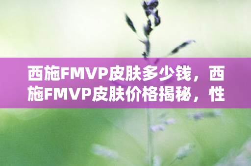 西施FMVP皮肤价格揭秘图片