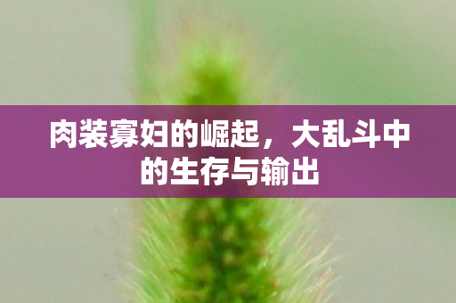 肉装寡妇的崛起,大乱斗中的生存与输出 肉装寡妇的崛起,大乱斗中的生存与输出