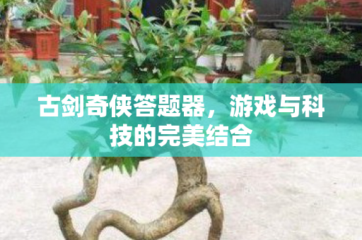 古剑奇侠答题器,游戏与科技的完美结合 古剑奇侠答题器,游戏与科技的完美结合