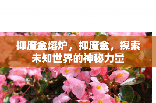 探索未知世界的神秘力量图片