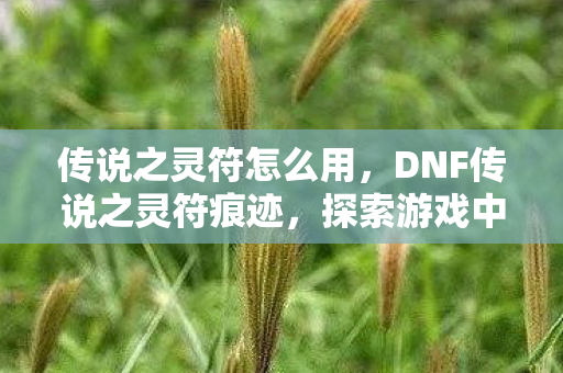 传说之灵符怎么用,DNF传说之灵符痕迹,探索游戏中的神秘符文 传说之灵符怎么用,DNF传说之灵符痕迹,探索游戏中的神秘符文