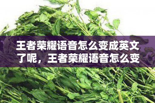 王者荣耀语音怎么变成英文了呢,王者荣耀语音怎么变成英文了 王者荣耀语音怎么变成英文了呢,王者荣耀语音怎么变成英文了