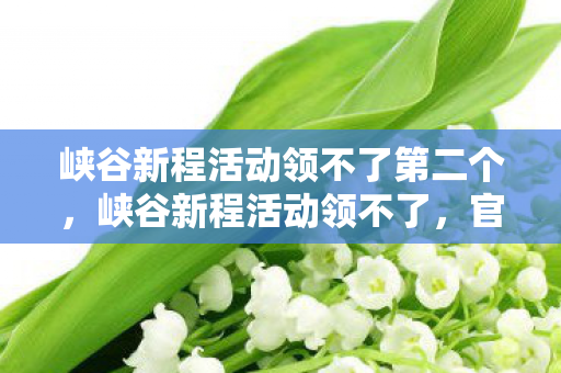 峡谷新程活动领不了第二个,峡谷新程活动领不了,官方授权与合规性的重要性 峡谷新程活动领不了第二个,峡谷新程活动领不了,官方授权与合规性的重要性