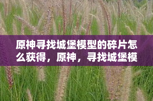 原神寻找城堡模型的碎片怎么获得，原神，寻找城堡模型的碎片