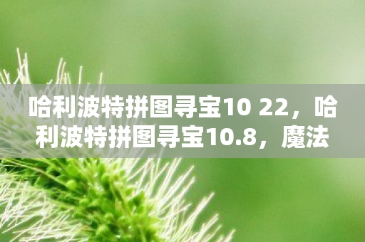 哈利波特拼图寻宝10 22,哈利波特拼图寻宝10.8,魔法世界的未解之谜 哈利波特拼图寻宝10 22,哈利波特拼图寻宝10.8,魔法世界的未解之谜