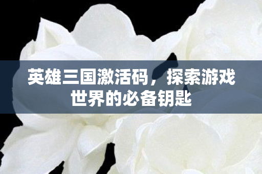 英雄三国激活码,探索游戏世界的必备钥匙 英雄三国激活码,探索游戏世界的必备钥匙