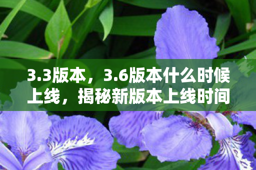 3.3版本,3.6版本什么时候上线,揭秘新版本上线时间表与亮点解析 3.3版本,3.6版本什么时候上线,揭秘新版本上线时间表与亮点解析