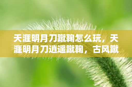 古风蹴鞠的浪漫演绎与文化传承图片