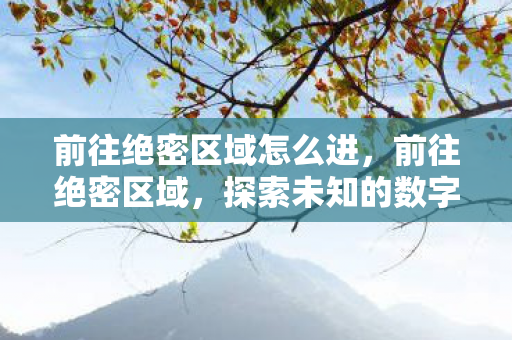 前往绝密区域怎么进图片