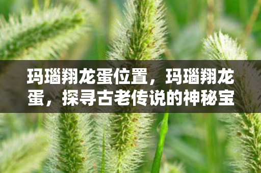 玛瑙翔龙蛋位置，玛瑙翔龙蛋，探寻古老传说的神秘宝藏