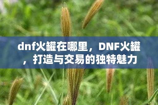 dnf火罐在哪里，DNF火罐，打造与交易的独特魅力