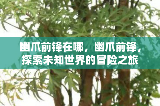 幽爪前锋在哪，幽爪前锋，探索未知世界的冒险之旅