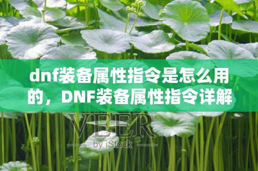 dnf装备属性指令是怎么用的，DNF装备属性指令详解，打造最强战斗力的关键