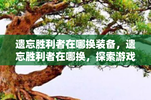 遗忘胜利者在哪换装备,遗忘胜利者在哪换,探索游戏内兑换的奥秘 遗忘胜利者在哪换装备,遗忘胜利者在哪换,探索游戏内兑换的奥秘