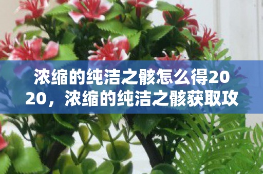 浓缩的纯洁之骸怎么得2020,浓缩的纯洁之骸获取攻略 浓缩的纯洁之骸怎么得2020,浓缩的纯洁之骸获取攻略
