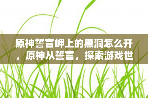 原神誓言岬上的黑洞怎么开,原神从誓言,探索游戏世界的深度与广度 原神誓言岬上的黑洞怎么开,原神从誓言,探索游戏世界的深度与广度