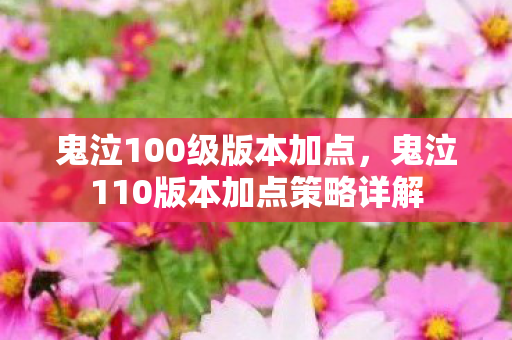 鬼泣100级版本加点,鬼泣110版本加点策略详解 鬼泣100级版本加点,鬼泣110版本加点策略详解