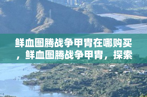 鲜血图腾战争甲胄在哪购买，鲜血图腾战争甲胄，探索未知领域的奇幻之旅